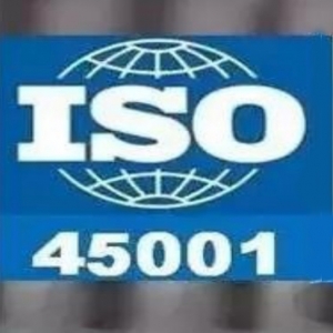 ISO 45001(2018版) 職業(yè)健康與安全管理體系標(biāo)準
